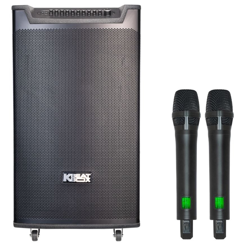 Loa kéo Soncamedia TOP 430 MAX RMS 600W PMPO 2200W Bass40