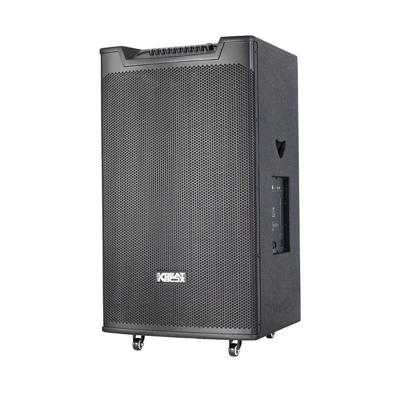Loa kéo SONCAMEDIA TOP 530 1200W Bass50 (2mic)
