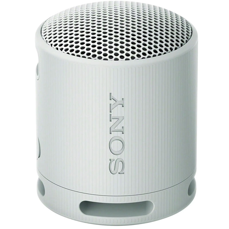 Loa không dây di động Sony XB100 - Xám