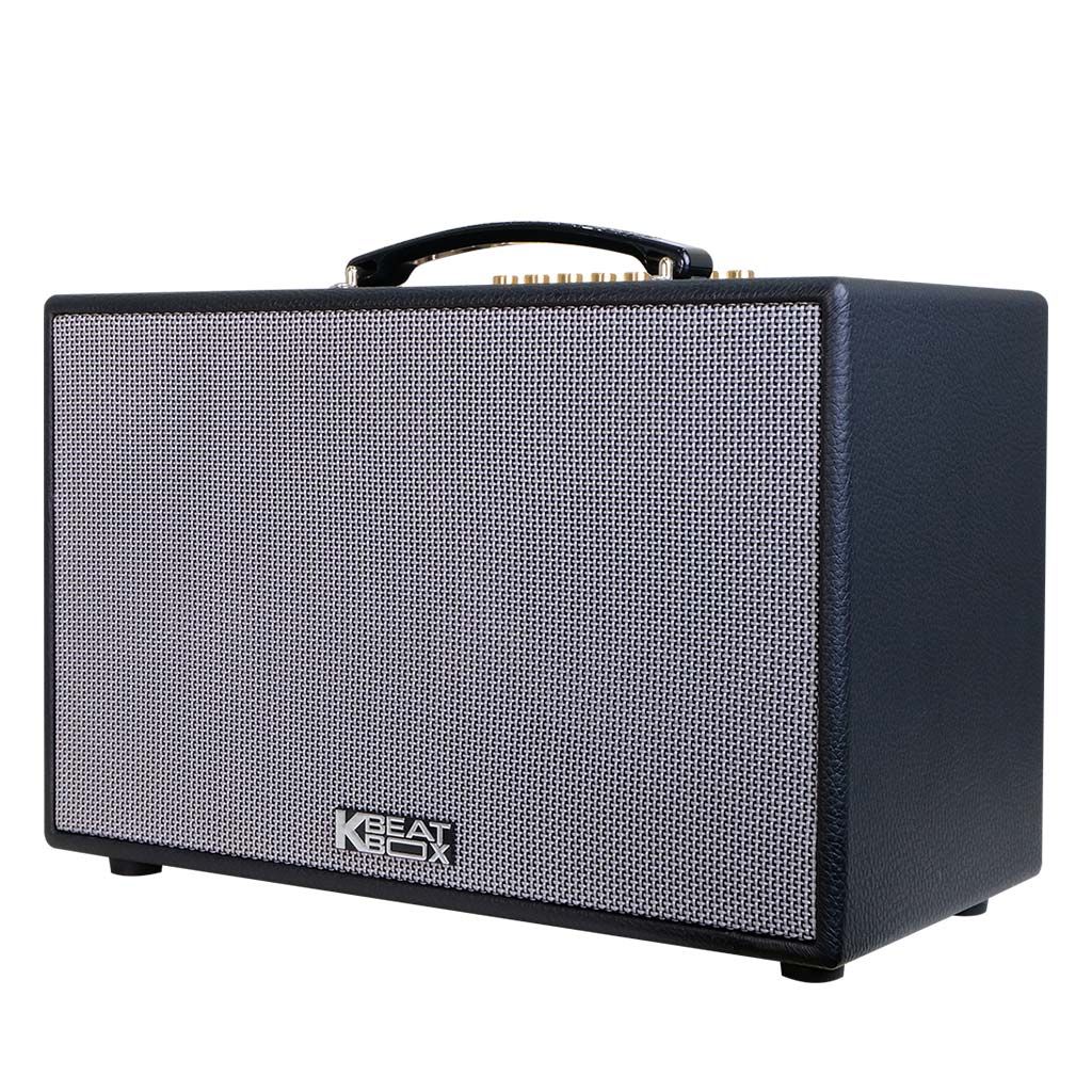 Loa xách tay Acnos CS201PU 200W Bass20 (2mic)