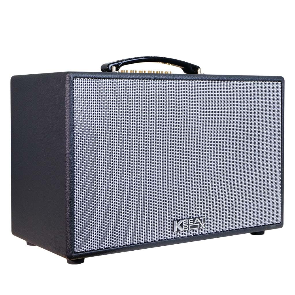 Loa xách tay Acnos CS201PU 200W Bass20 (2mic)