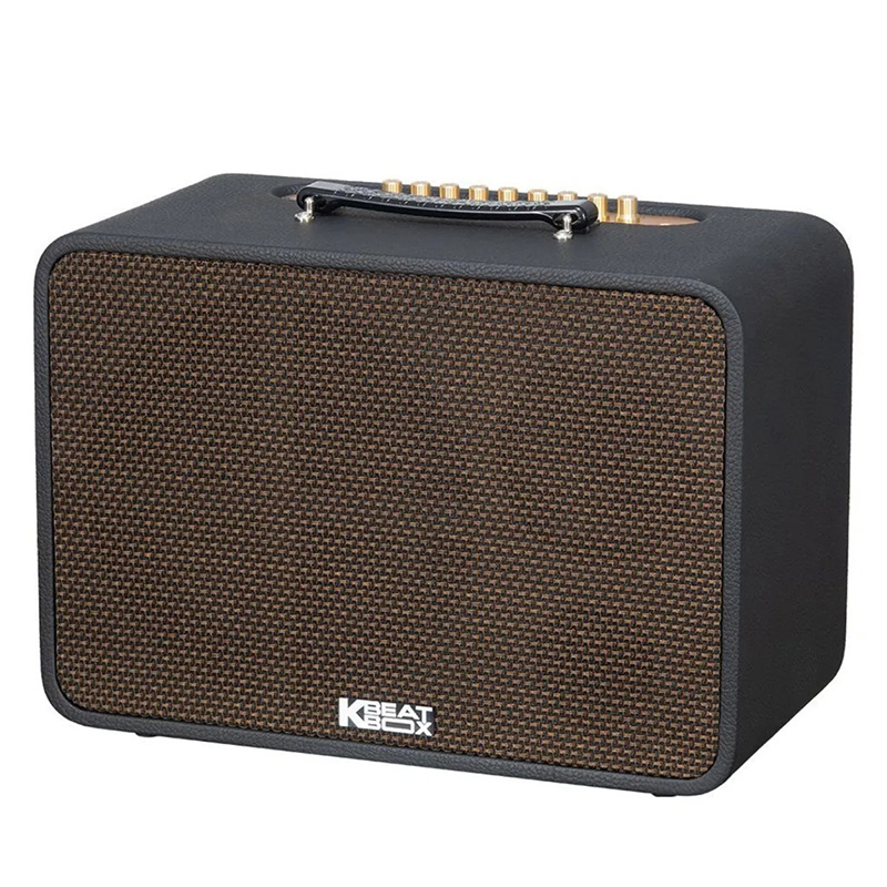 Loa xách tay Acnos CS25P400 400w Bass25 (2mic)