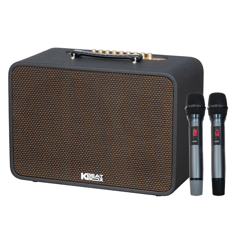 Loa xách tay Acnos CS25P400 400w Bass25 (2mic)