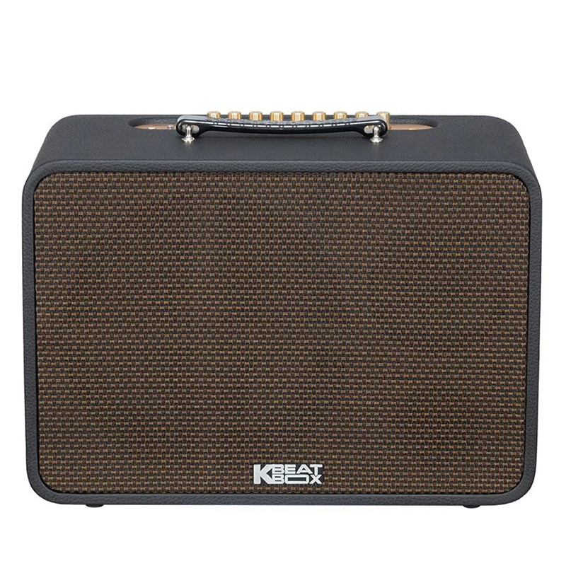 Loa xách tay Acnos CS25P400 400w Bass25 (2mic)