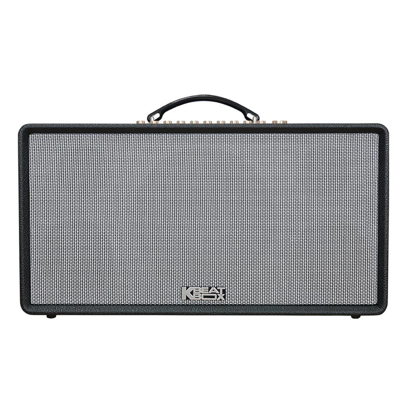 Loa xách tay Acnos Flac 36 1.000w (2 mic)