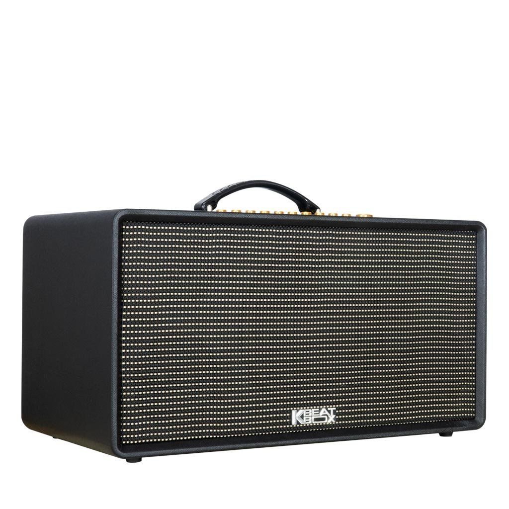 Loa xách tay Acnos Flac 36 1.000w (2 mic)