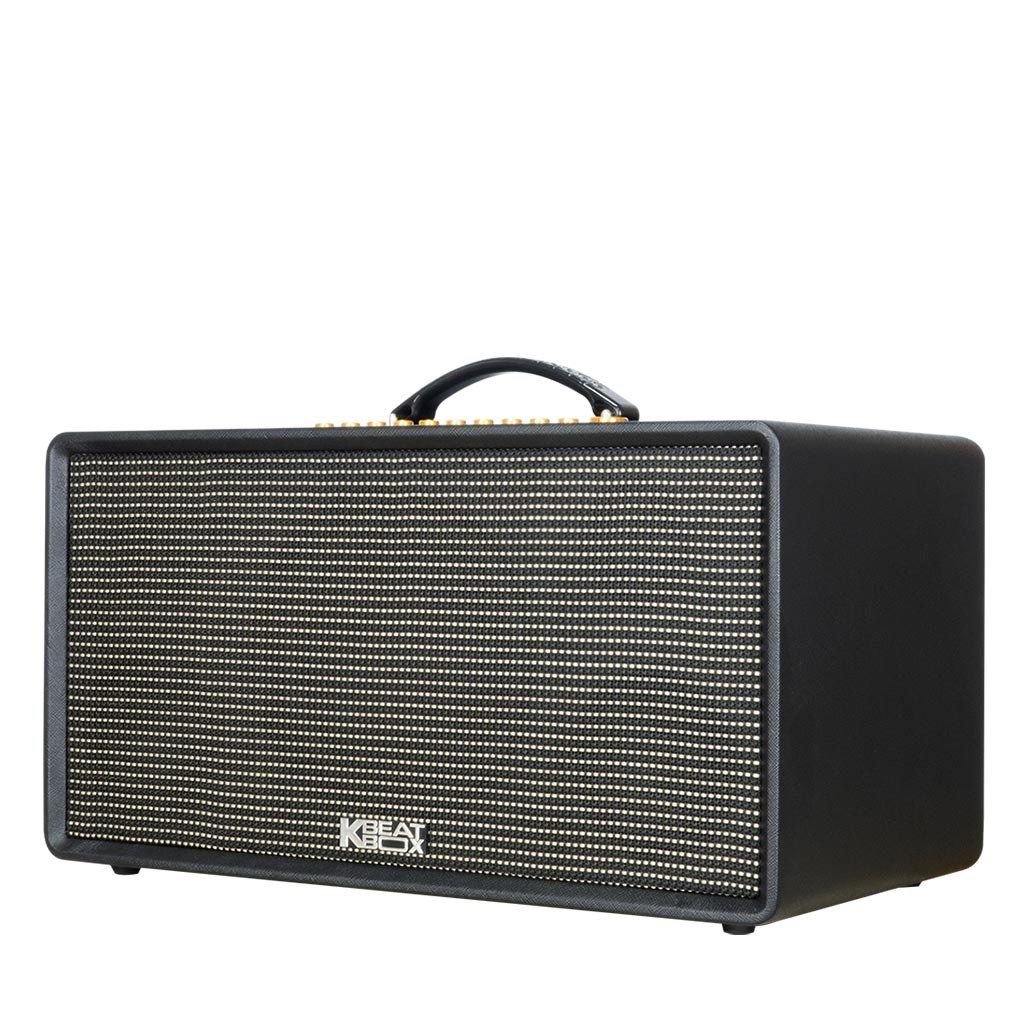 Loa xách tay Acnos Flac 36 1.000w (2 mic)