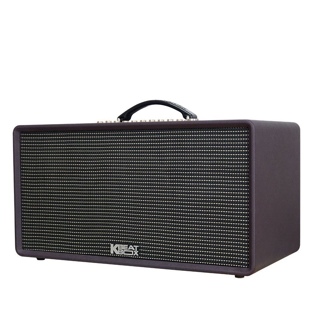 Loa xách tay Acnos Flac 36 1.000w (2 mic)