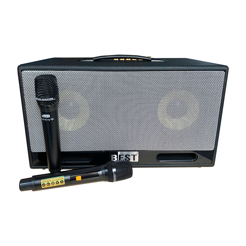 Loa xách tay Best B16 Pro (2 mic)