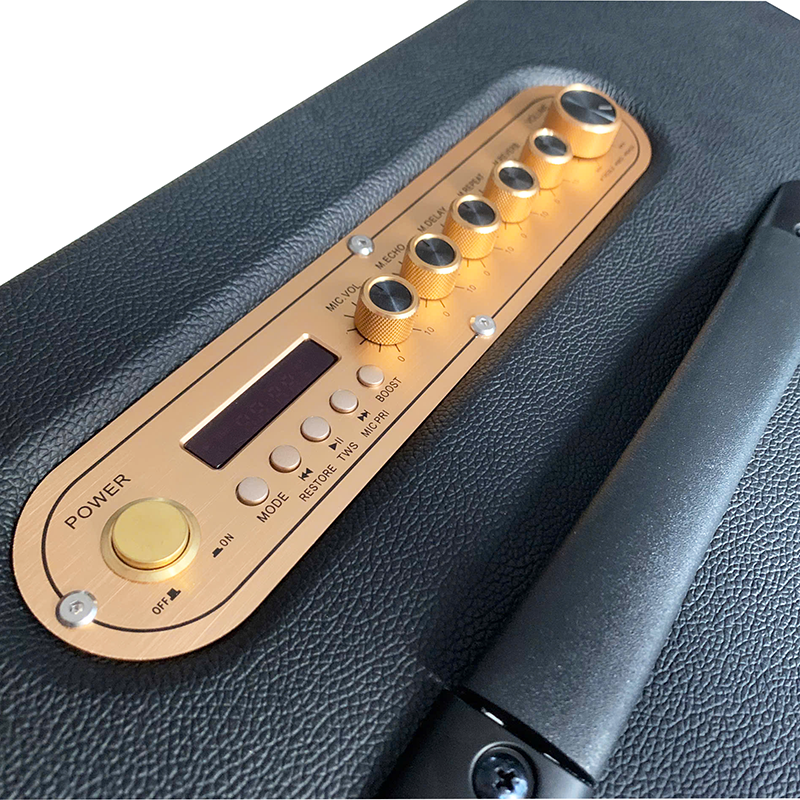 Loa xách tay Best B16 Pro (2 mic)