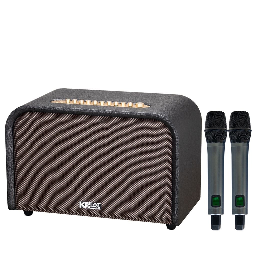 Loa xách tay Soncamedia ACOUSTIC 3 Compact RMS 220W Bass20