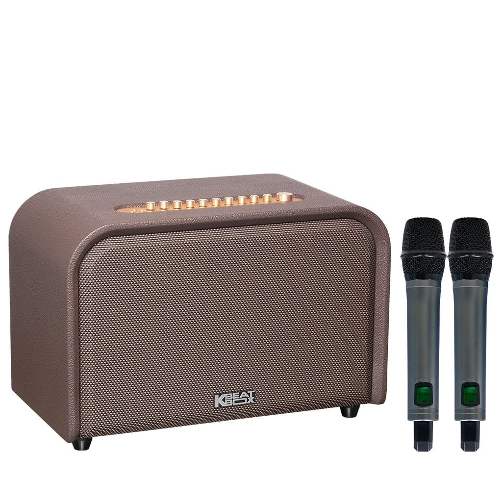 Loa xách tay Soncamedia ACOUSTIC 3 Compact RMS 220W Bass20