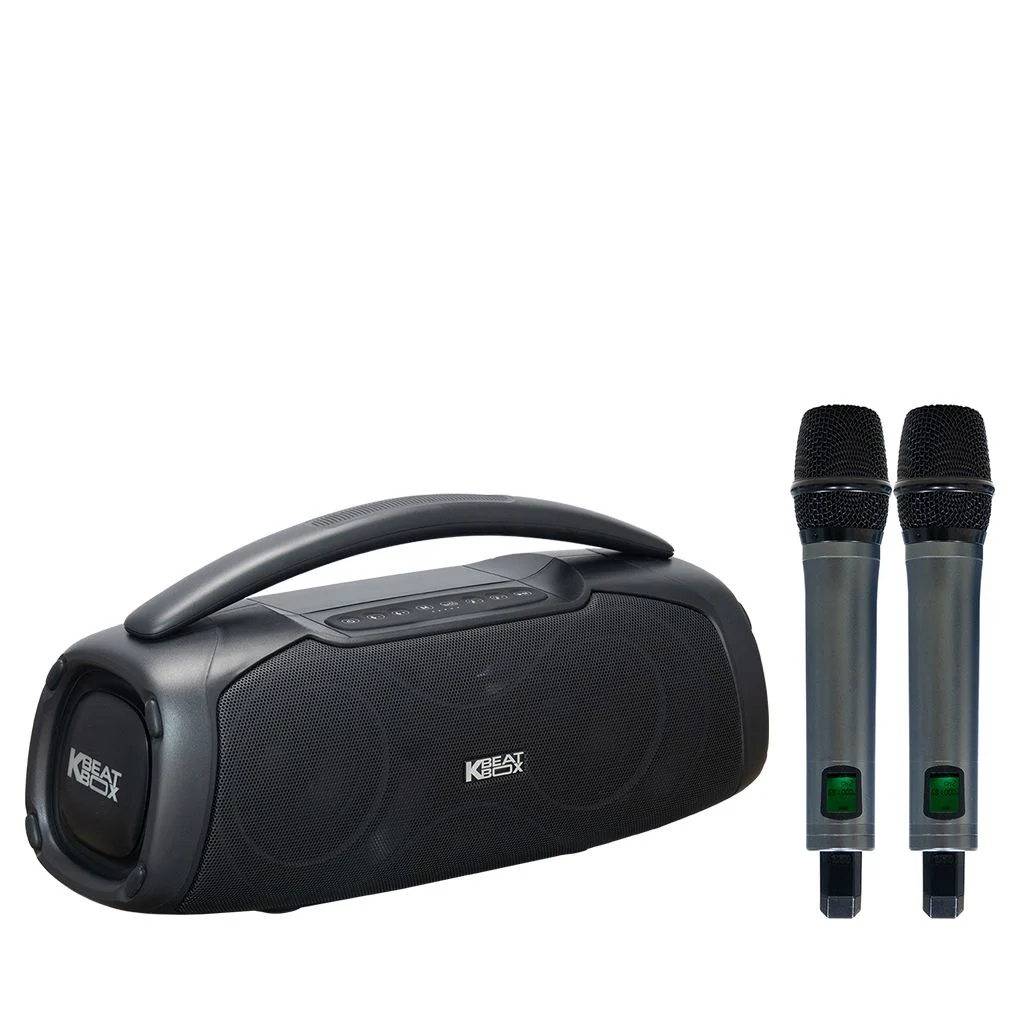 Loa xách tay Soncamedia CHILL RMS 120W Bass13 x2