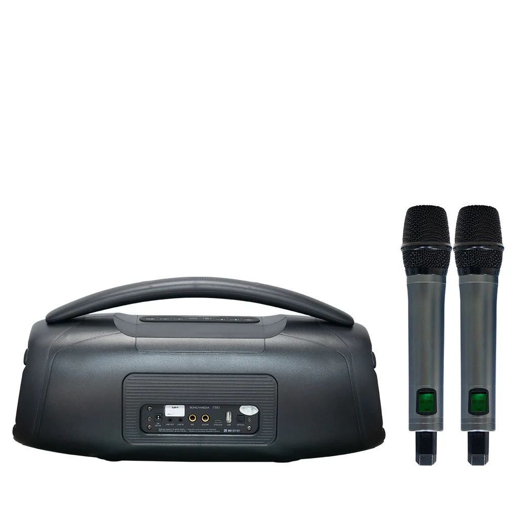 Loa xách tay Soncamedia CHILL RMS 120W Bass13 x2