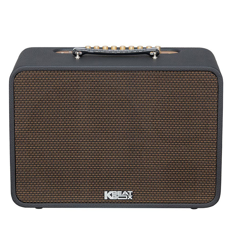 Loa xách tay SONCAMEDIA CS250PRO 400W Bass25 (2mic)