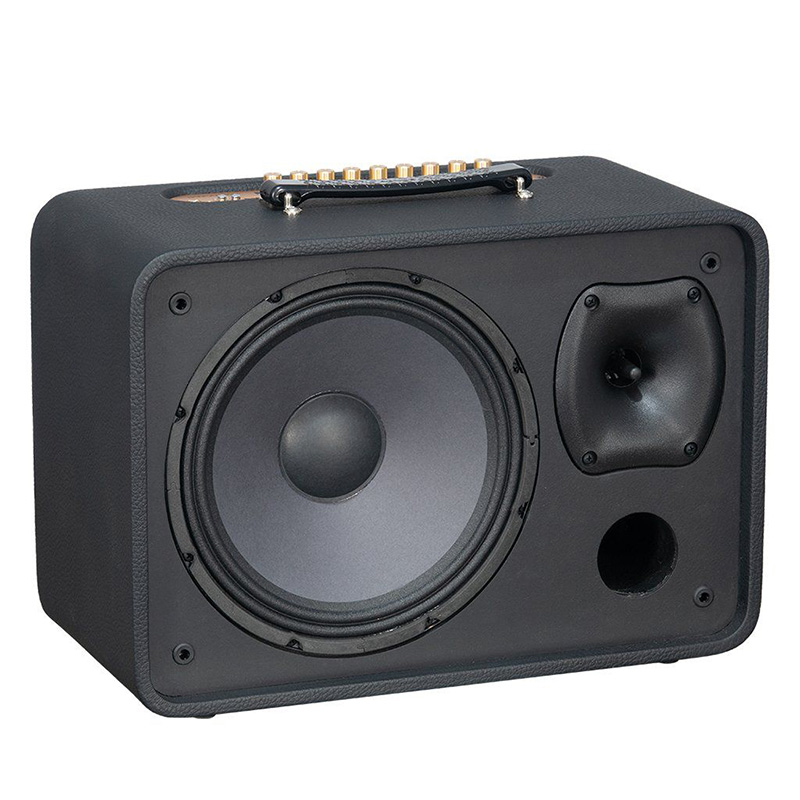Loa xách tay SONCAMEDIA CS250PRO 400W Bass25 (2mic)
