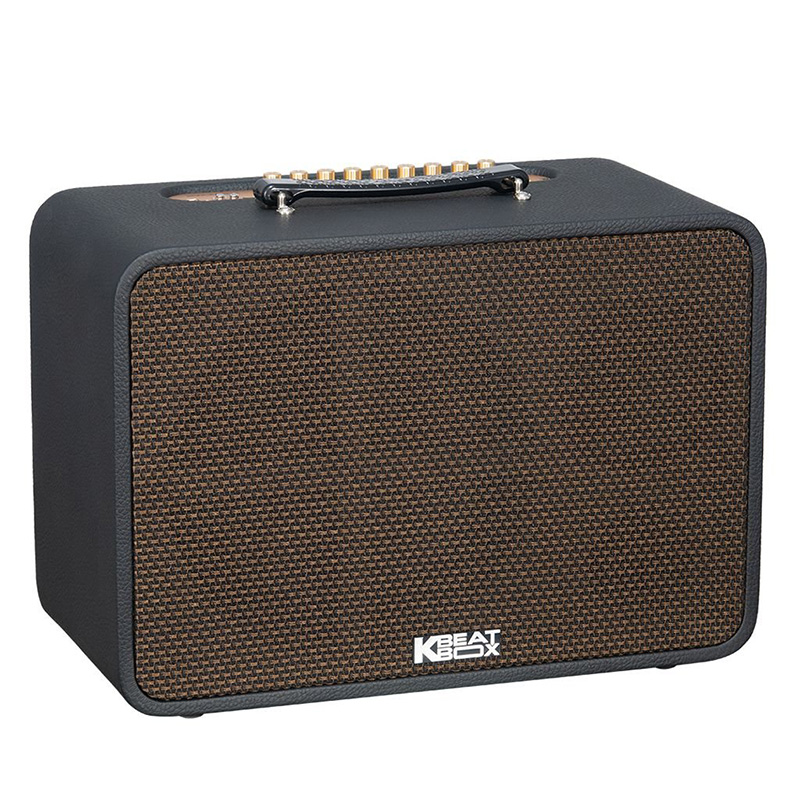 Loa xách tay SONCAMEDIA CS250PRO 400W Bass25 (2mic)