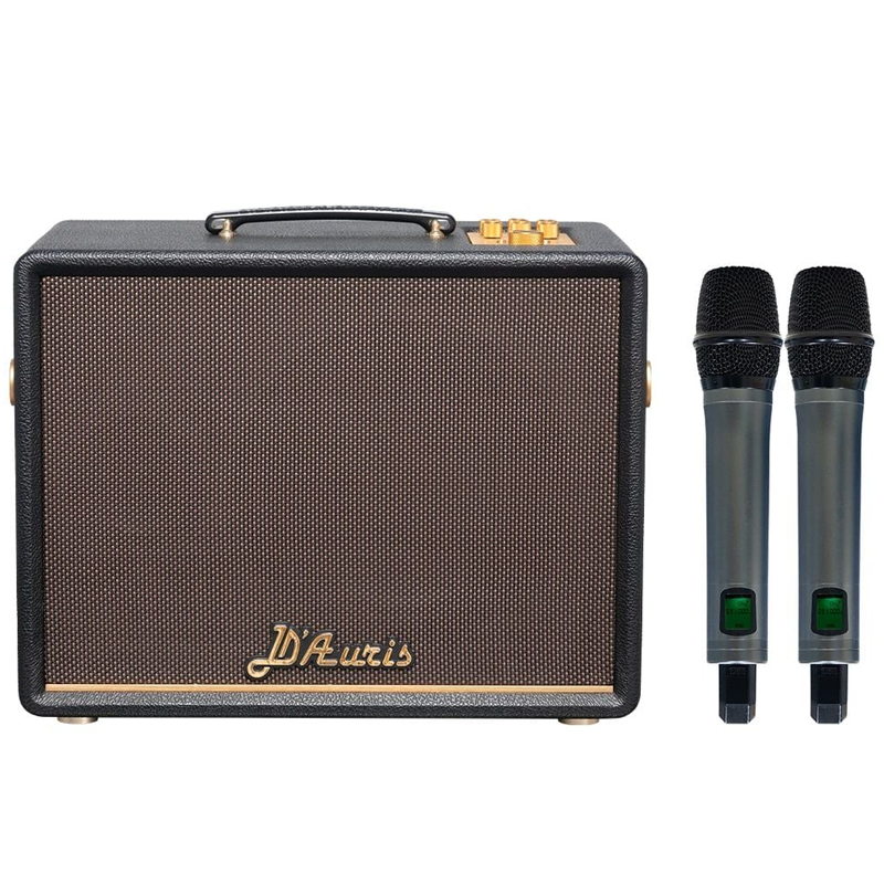 Loa xách tay Soncamedia D'Auris 200 RMS 150W PMPO 600W Bass25