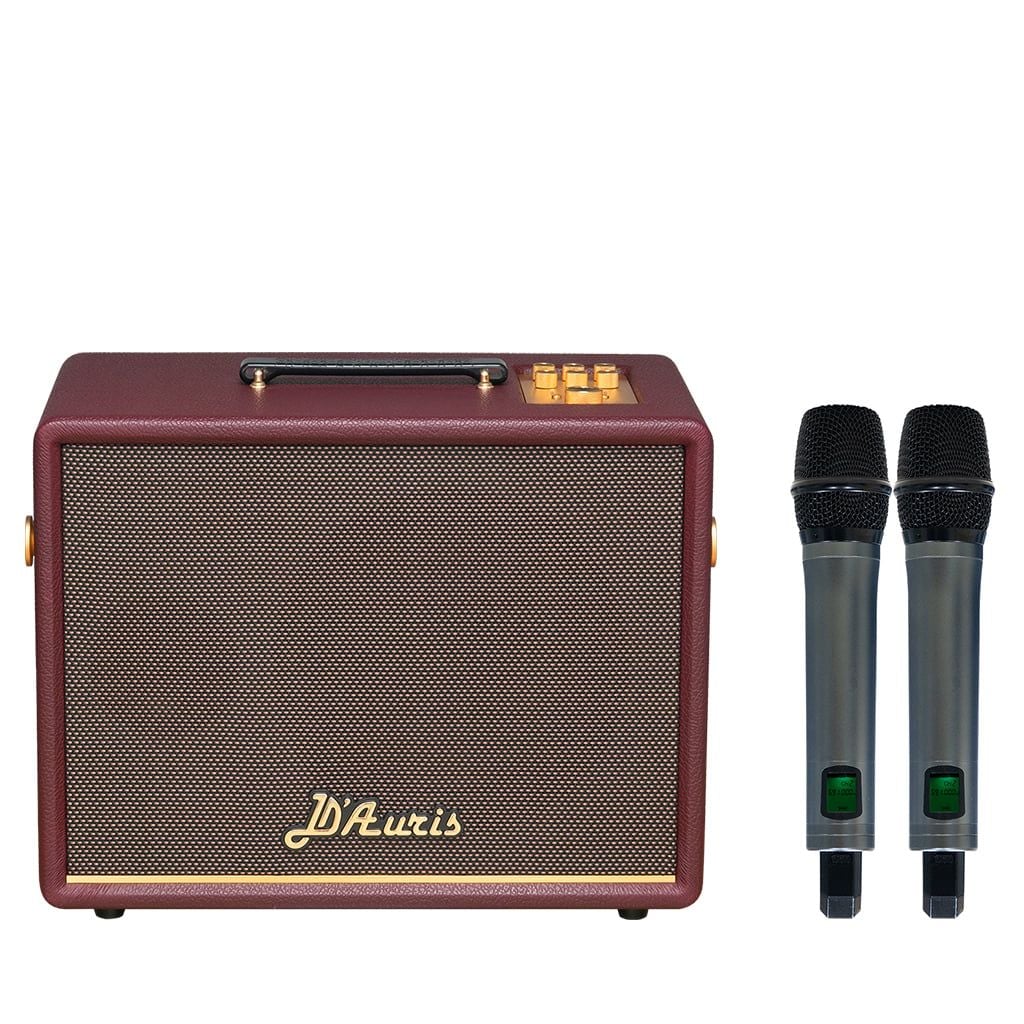 Loa xách tay Soncamedia D'Auris 200 RMS 150W PMPO 600W Bass25