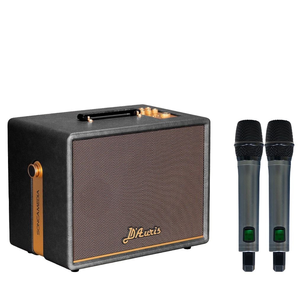 Loa xách tay Soncamedia D'Auris 200 RMS 150W PMPO 600W Bass25