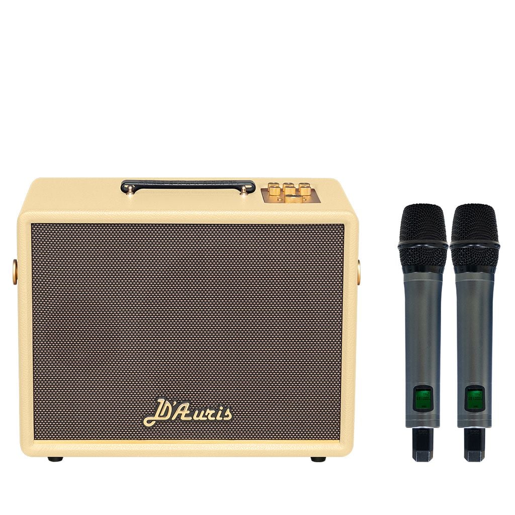 Loa xách tay Soncamedia D'Auris 200 RMS 150W PMPO 600W Bass25