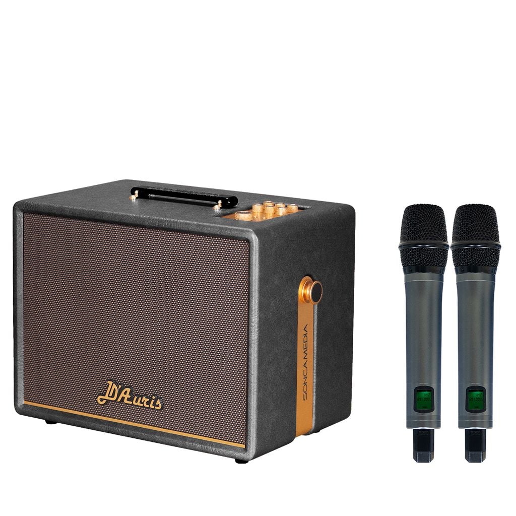 Loa xách tay Soncamedia D'Auris 200 RMS 150W PMPO 600W Bass25