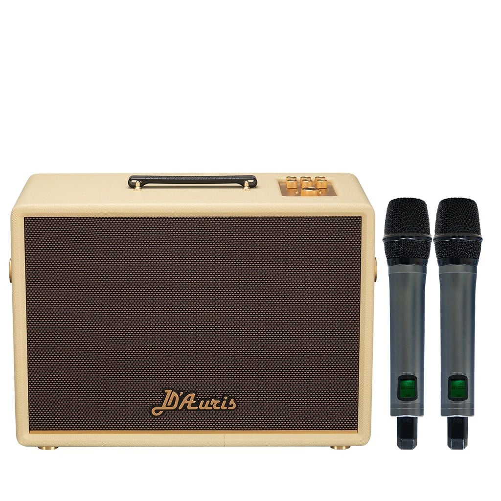 Loa xách tay Soncamedia D'Auris 300 RMS 200W PMPO 800W Bass25