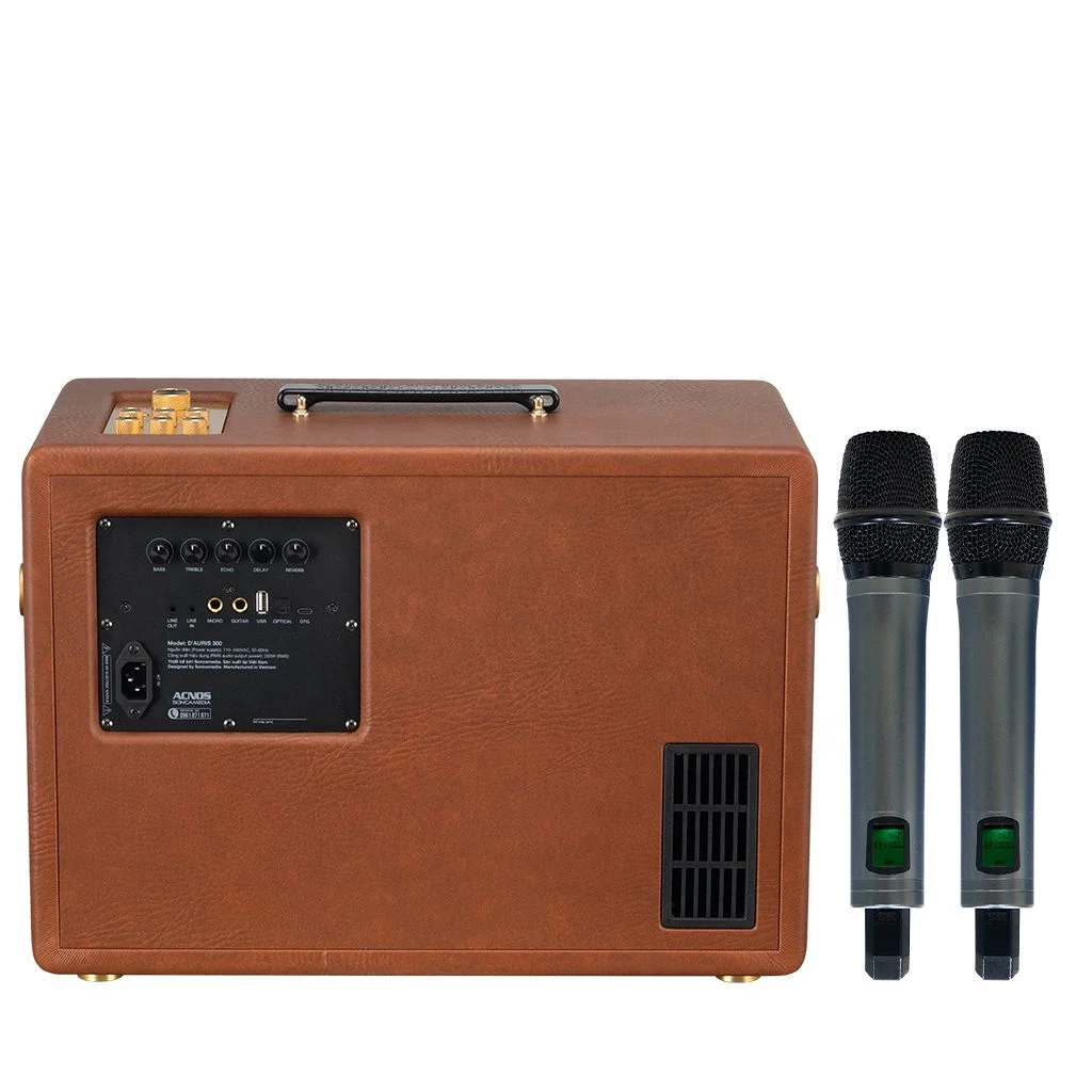 Loa xách tay Soncamedia D'Auris 300 RMS 200W PMPO 800W Bass25