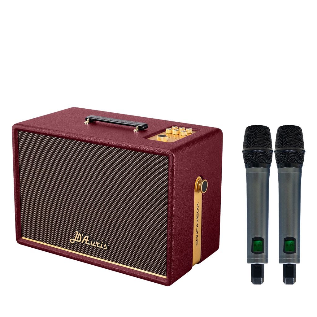 Loa xách tay Soncamedia D'Auris 300 RMS 200W PMPO 800W Bass25