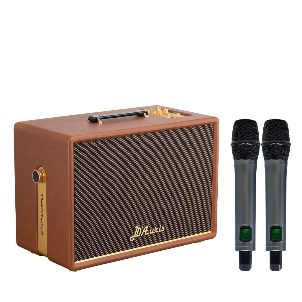 Loa xách tay Soncamedia D'Auris 300 RMS 200W PMPO 800W Bass25