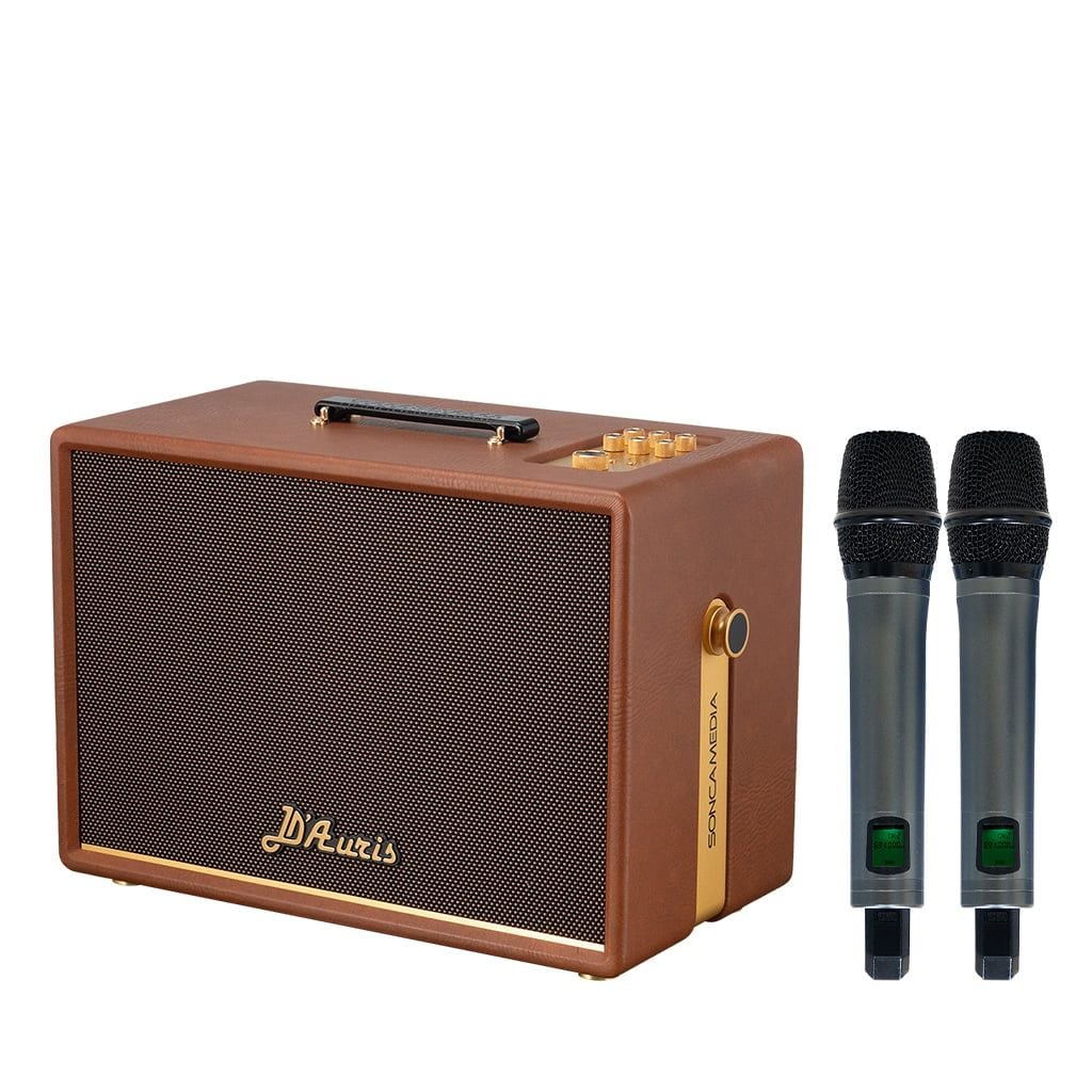 Loa xách tay Soncamedia D'Auris 300 RMS 200W PMPO 800W Bass25