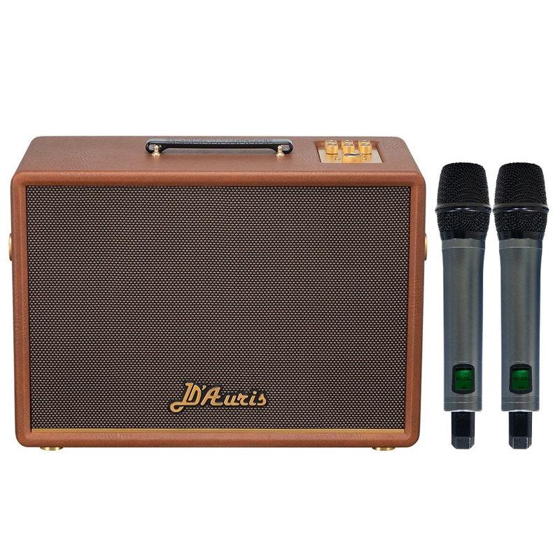 Loa xách tay Soncamedia D'Auris 300 RMS 200W PMPO 800W Bass25
