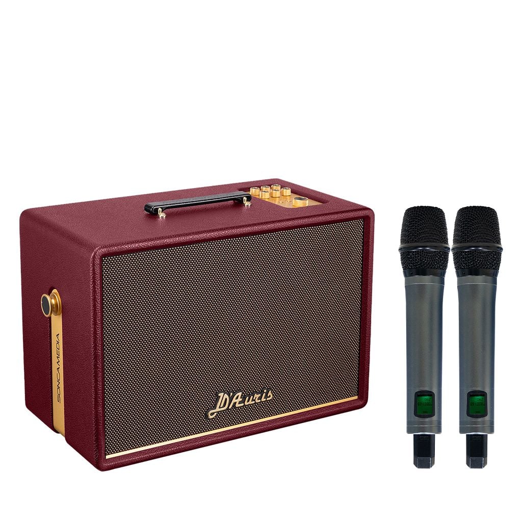 Loa xách tay Soncamedia D'Auris 300 RMS 200W PMPO 800W Bass25