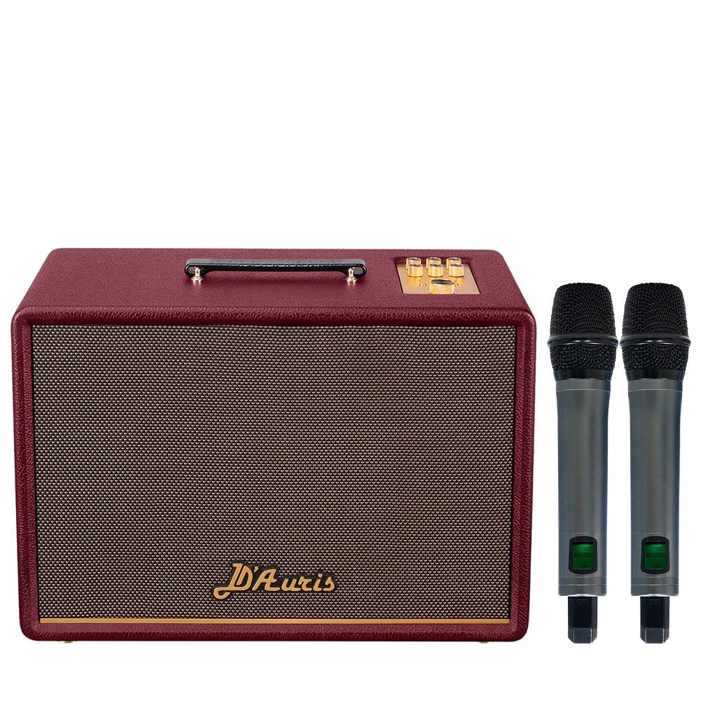 Loa xách tay Soncamedia D'Auris 300 RMS 200W PMPO 800W Bass25
