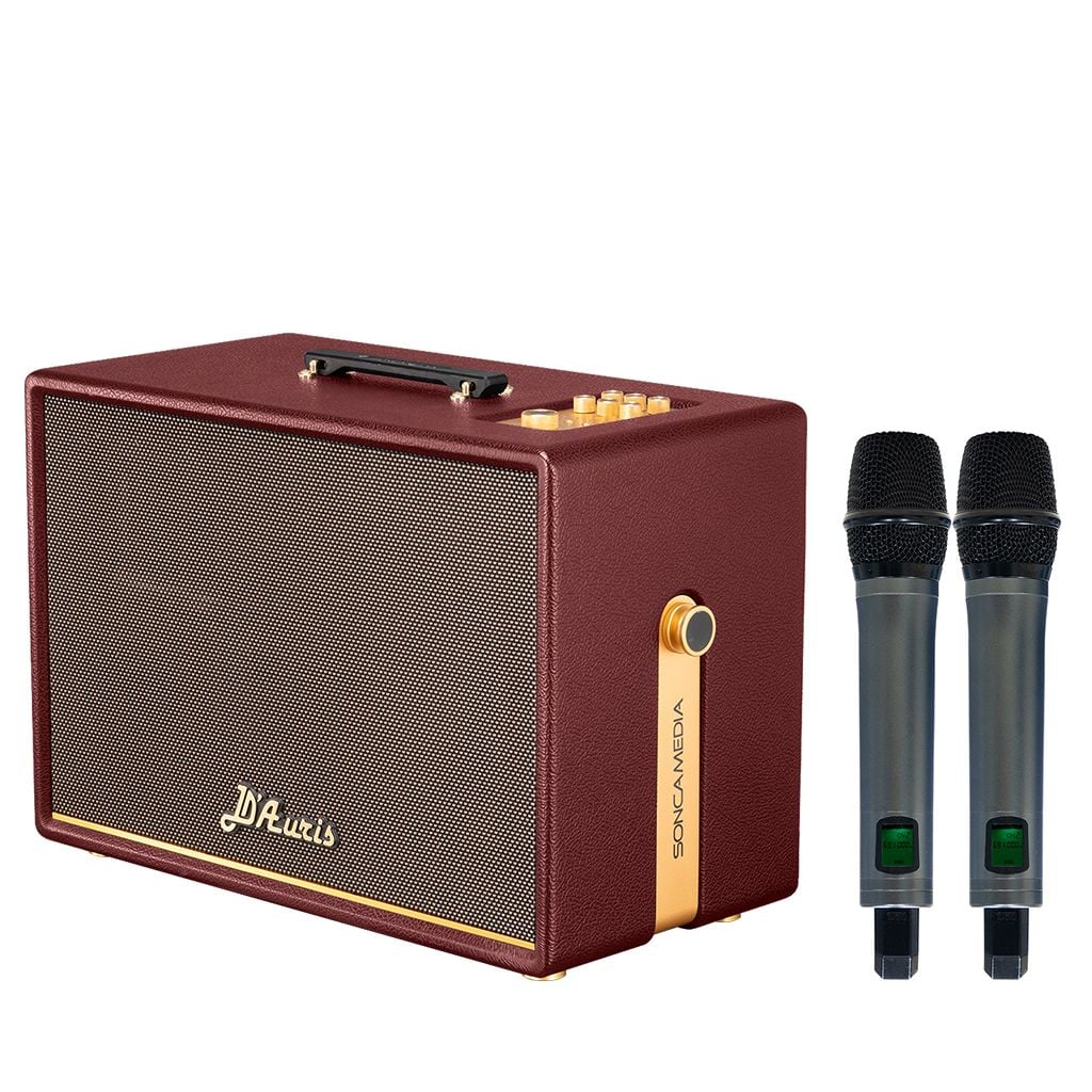 Loa xách tay Soncamedia D'Auris 500 RMS 500W PMPO 2000W Bass25