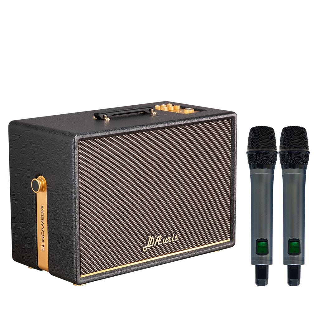 Loa xách tay Soncamedia D'Auris 500 RMS 500W PMPO 2000W Bass25