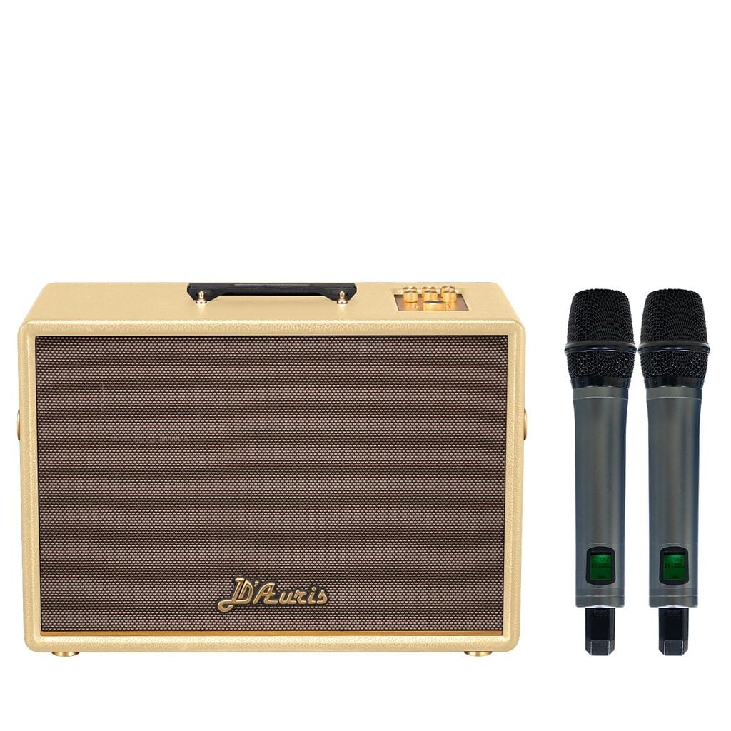 Loa xách tay Soncamedia D'Auris 500 RMS 500W PMPO 2000W Bass25