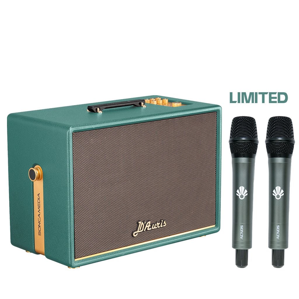 Loa xách tay Soncamedia D'Auris 500 RMS 500W PMPO 2000W Bass25
