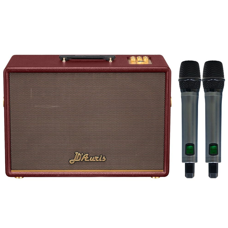 Loa xách tay Soncamedia D'Auris 500 RMS 500W PMPO 2000W Bass25