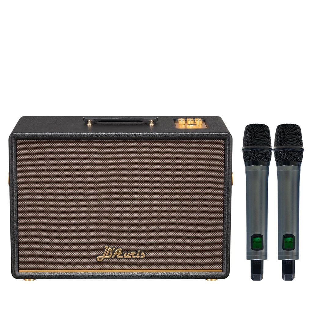Loa xách tay Soncamedia D'Auris 500 RMS 500W PMPO 2000W Bass25