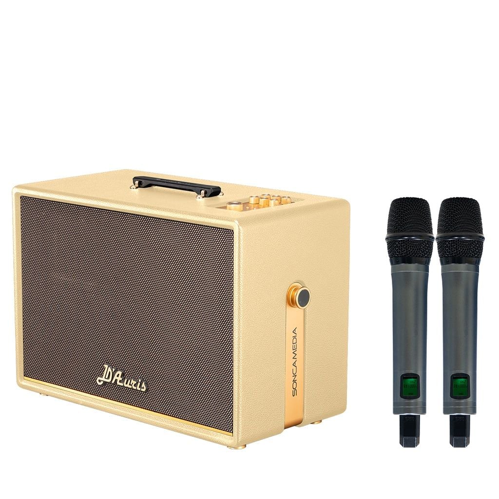 Loa xách tay Soncamedia D'Auris 500 RMS 500W PMPO 2000W Bass25