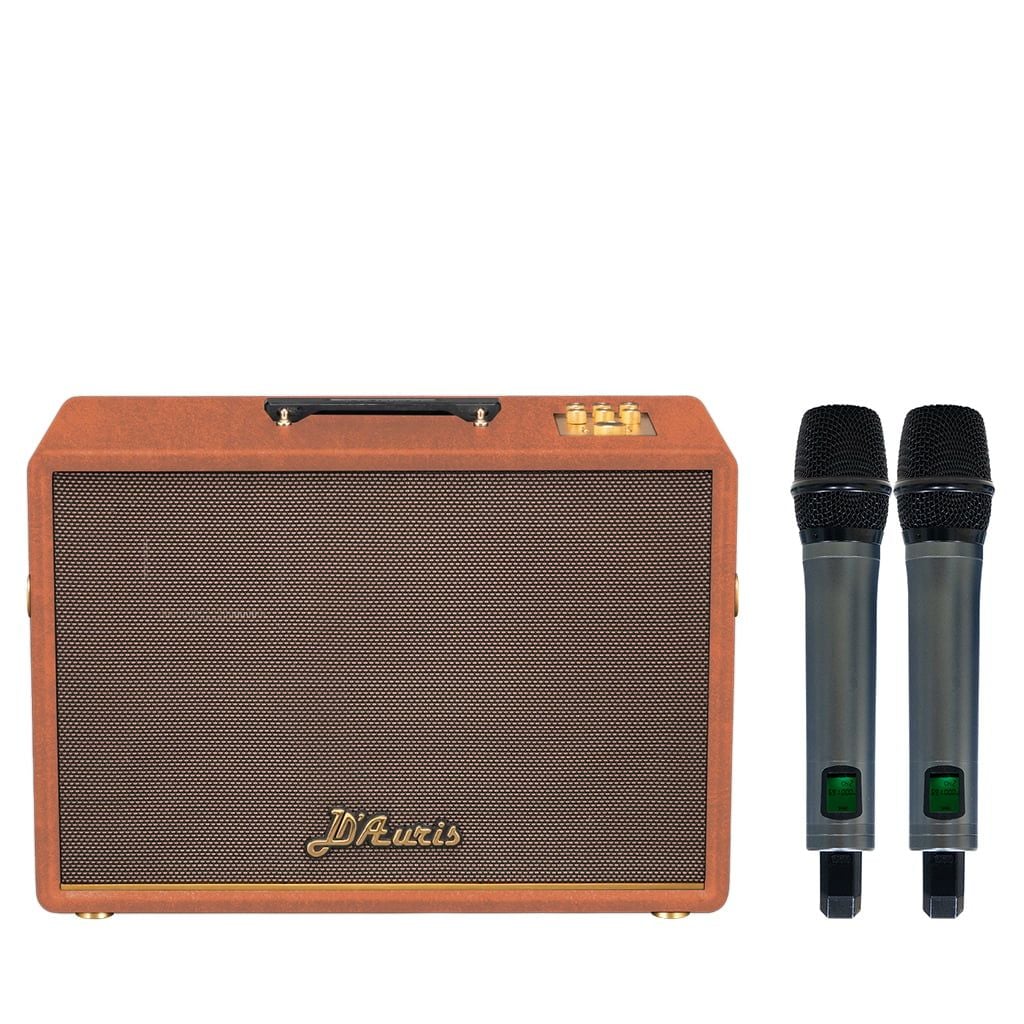 Loa xách tay Soncamedia D'Auris 500 RMS 500W PMPO 2000W Bass25