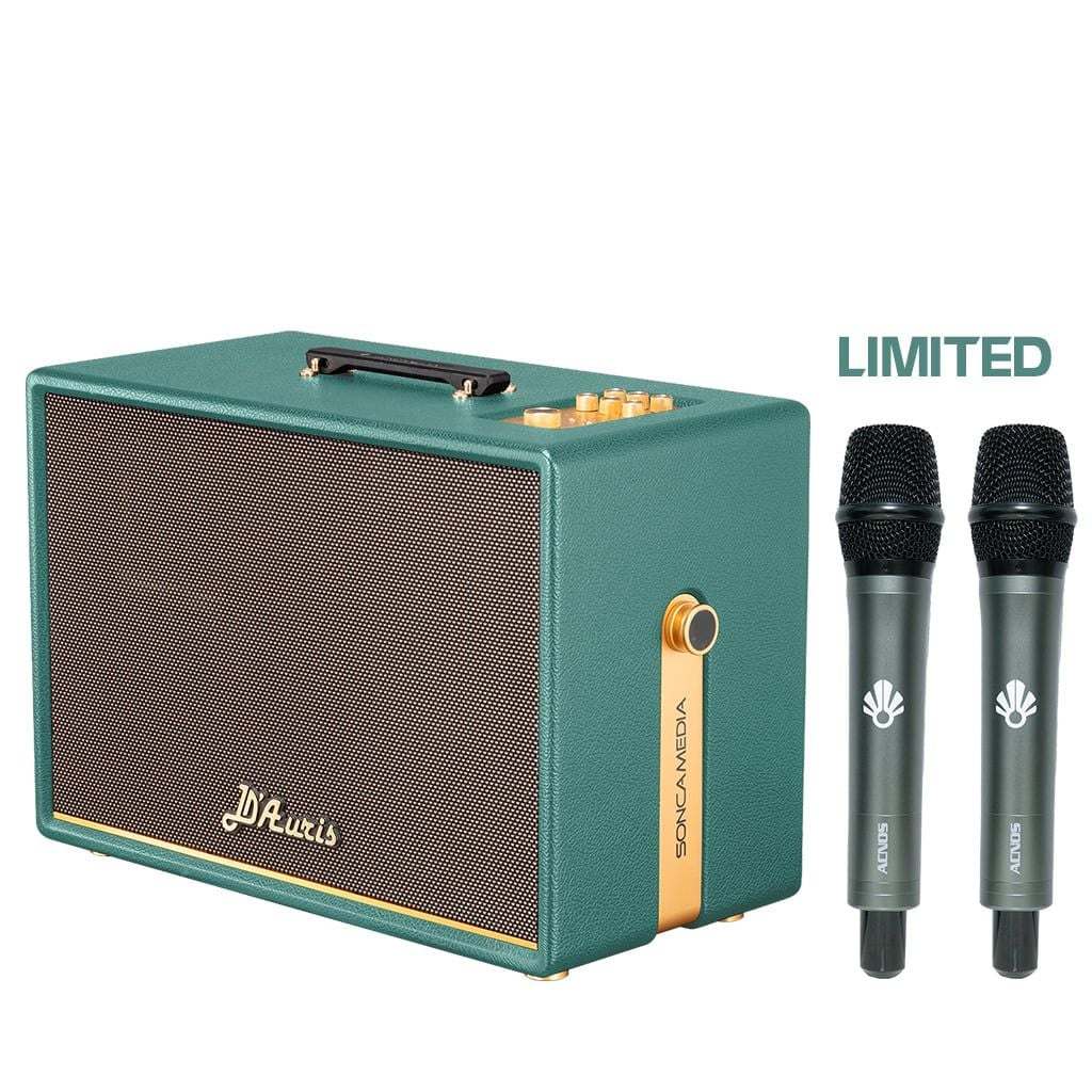 Loa xách tay Soncamedia D'Auris 500 RMS 500W PMPO 2000W Bass25