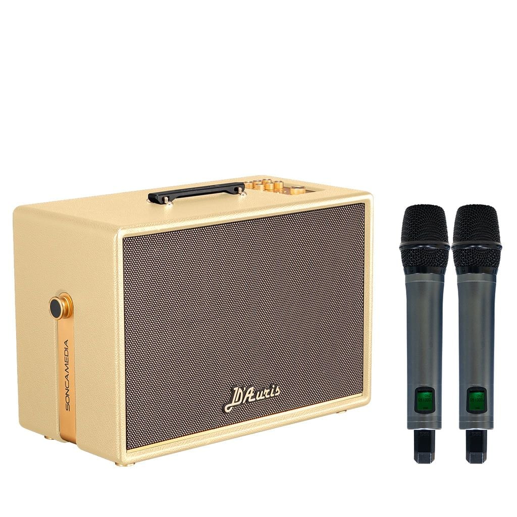 Loa xách tay Soncamedia D'Auris 500 RMS 500W PMPO 2000W Bass25