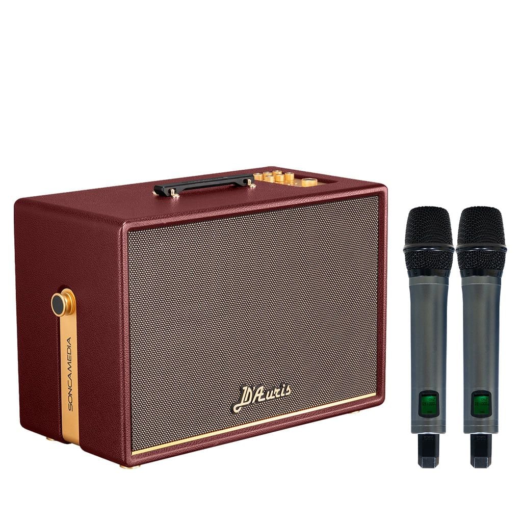 Loa xách tay Soncamedia D'Auris 500 RMS 500W PMPO 2000W Bass25