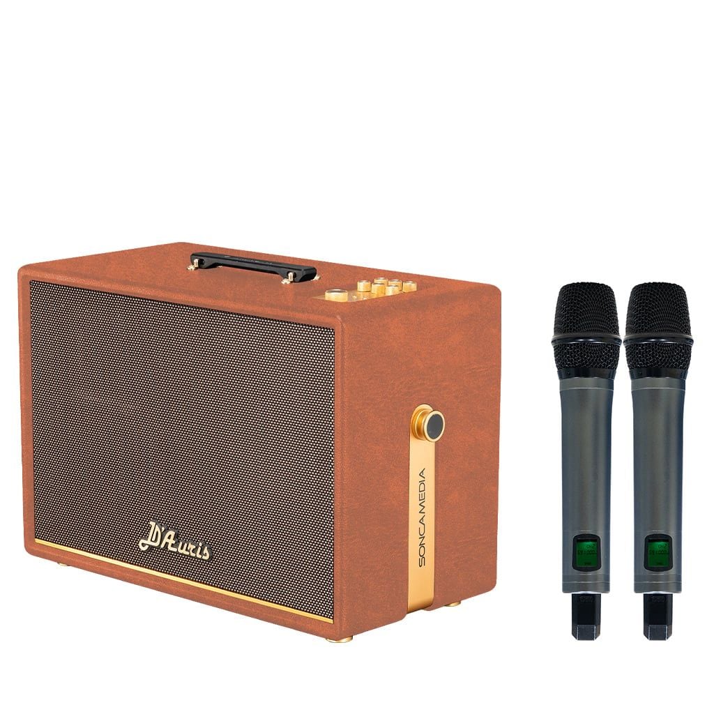 Loa xách tay Soncamedia D'Auris 500 RMS 500W PMPO 2000W Bass25