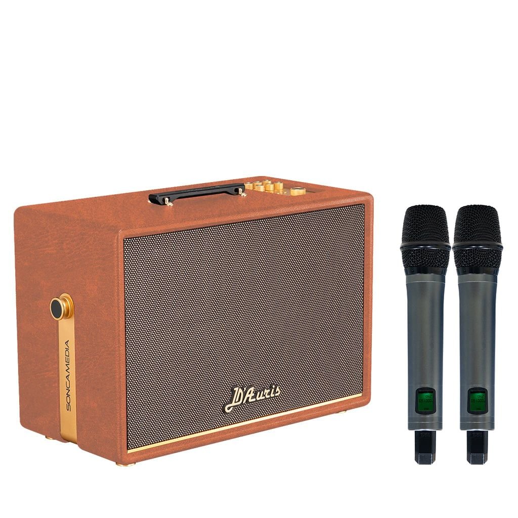 Loa xách tay Soncamedia D'Auris 500 RMS 500W PMPO 2000W Bass25