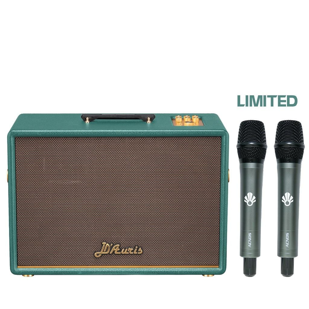 Loa xách tay Soncamedia D'Auris 500 RMS 500W PMPO 2000W Bass25