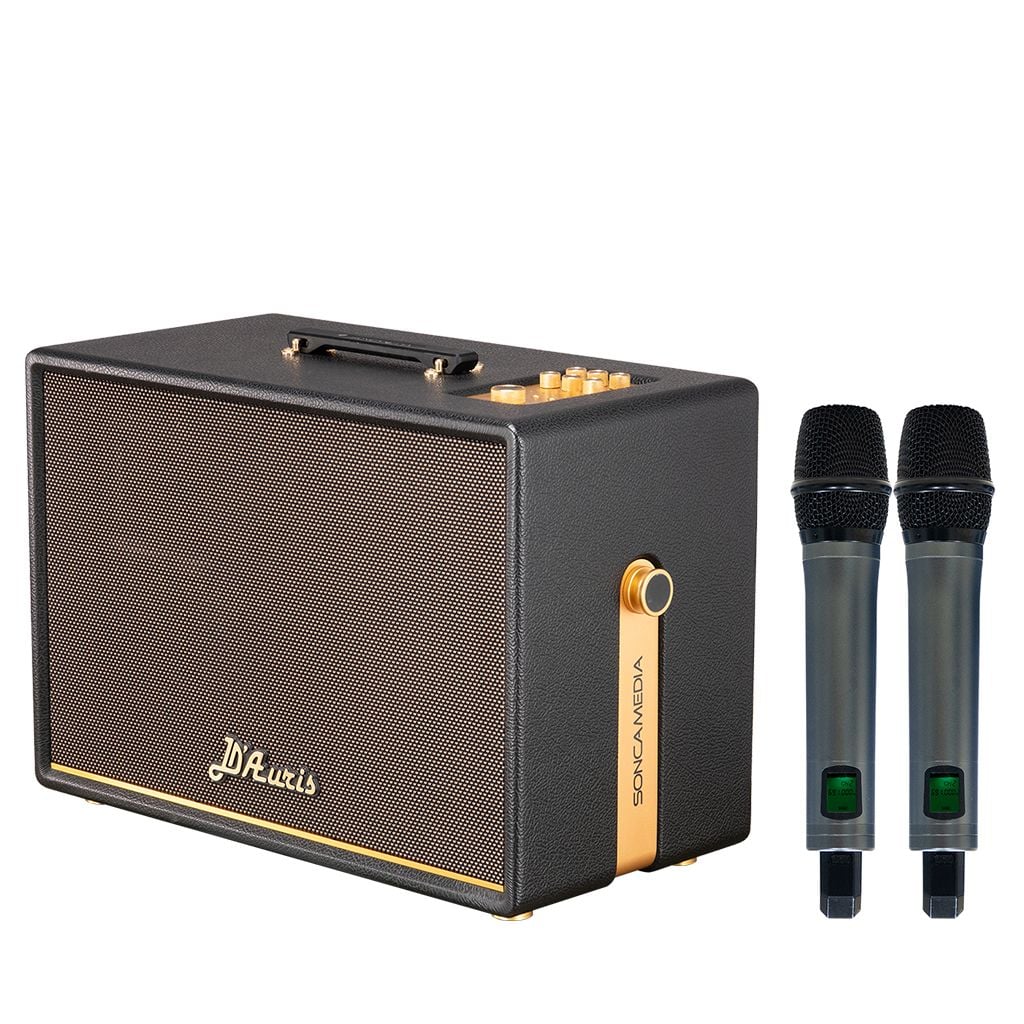 Loa xách tay Soncamedia D'Auris 500 RMS 500W PMPO 2000W Bass25