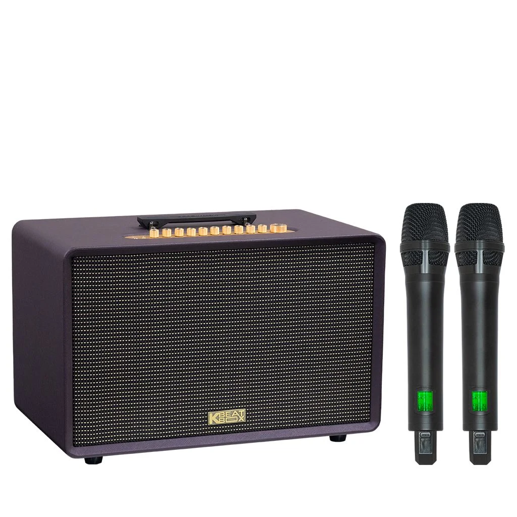 Loa xách tay Soncamedia FLAC 36 ULTIMATE RMS 500W Bass20